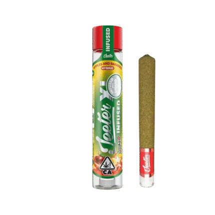 APPLES AND BANANAS 2G INFUSED PRE ROLL – JEETER XL